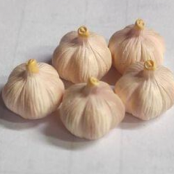 Mini Garlic
